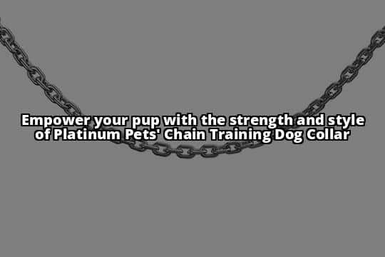 1. Platinum Pets Chain Training Dog Collar
