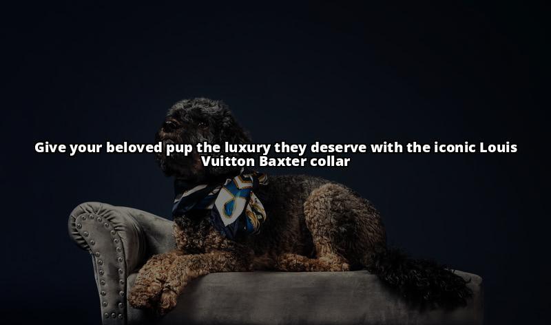15 Best Dog Collars of 2023