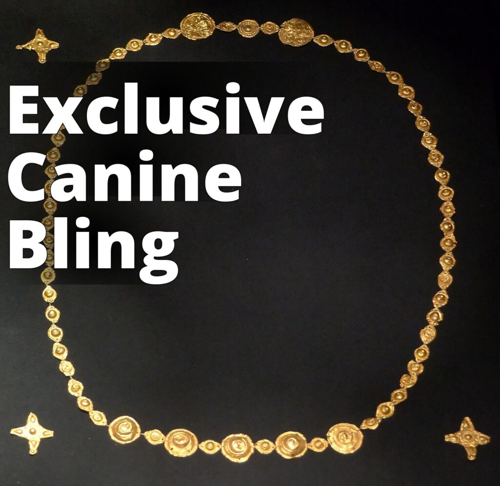 Gold Chain for Dog Petbytes