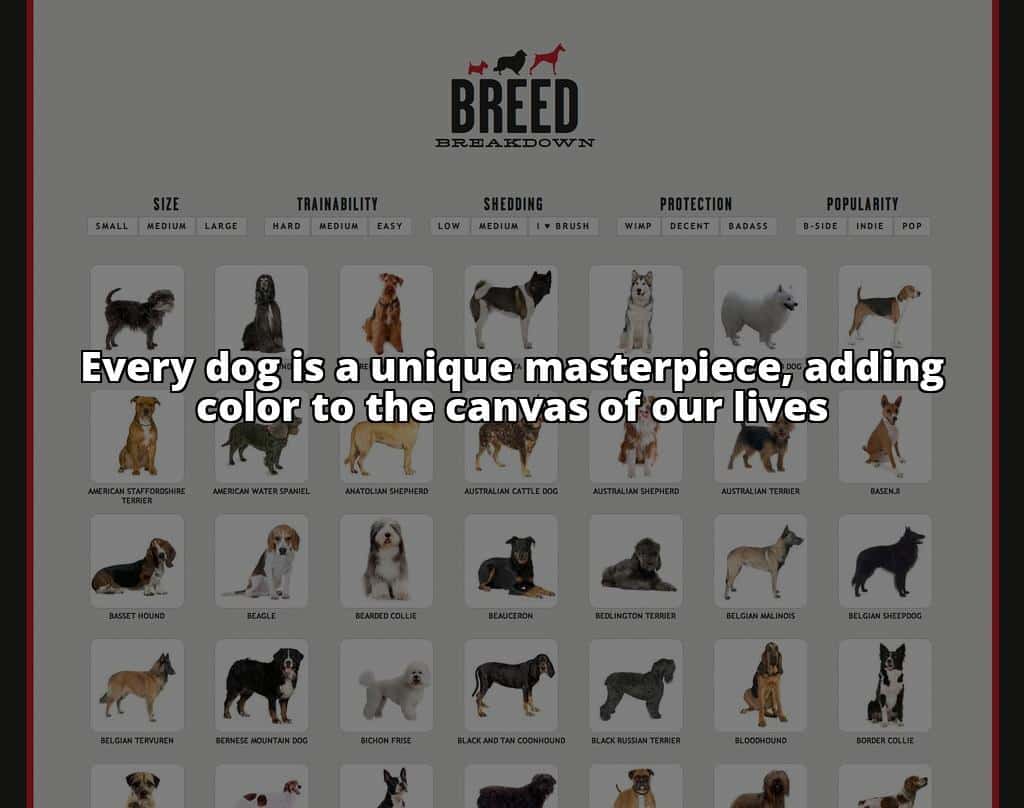 Find By Breed Name