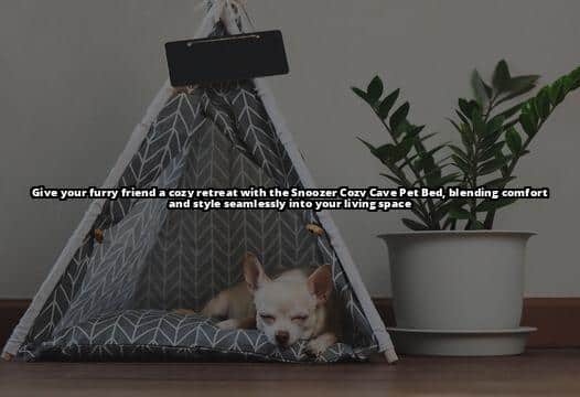 The 7 Best Dog Cave Beds of 2023